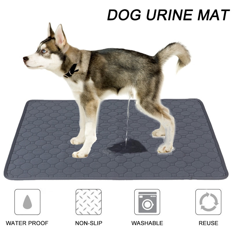 Reusable dog hot sale pee pad