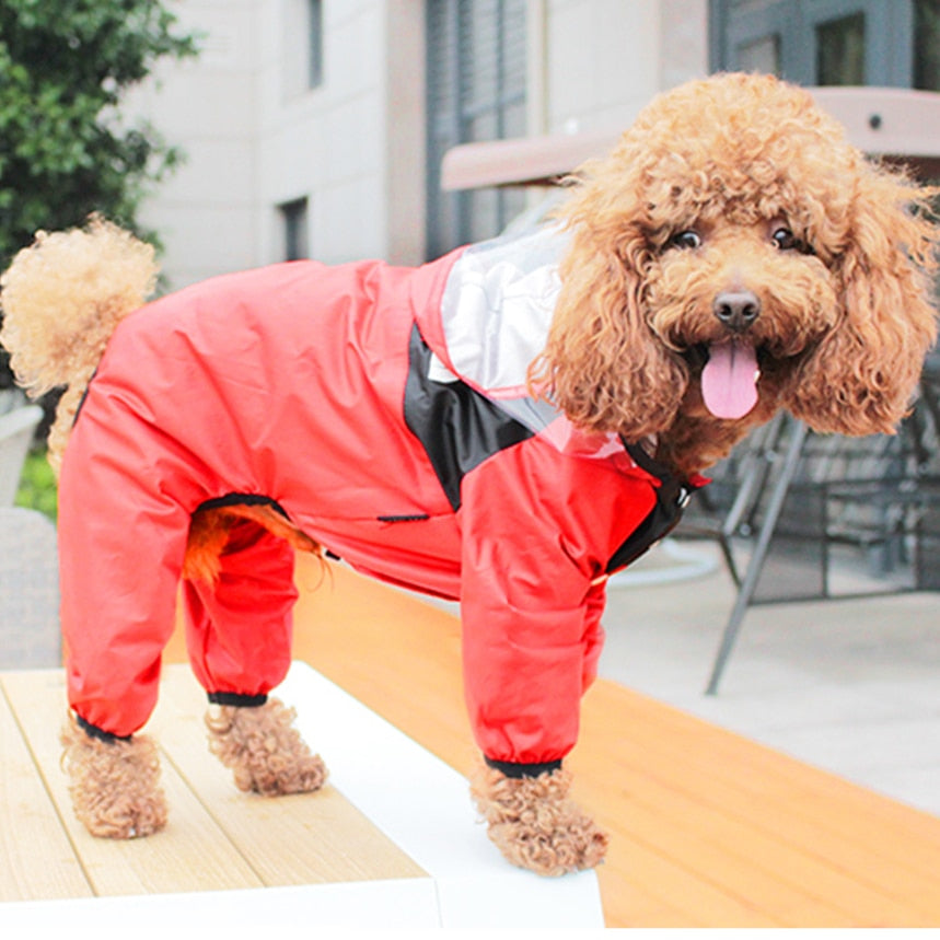 Water resistant dog jacket