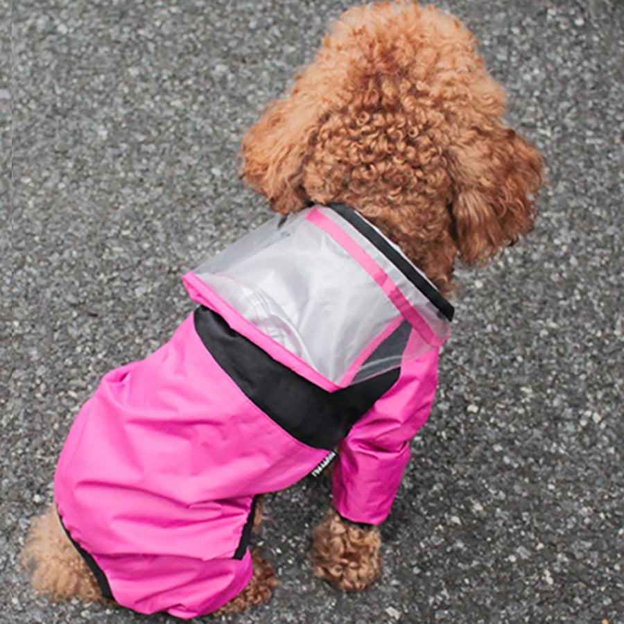 Water resistant dog jacket