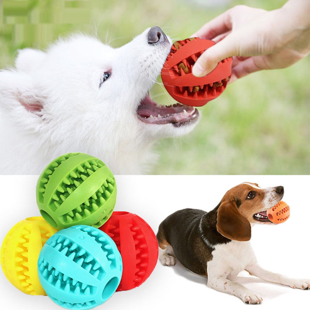 TreatPup Dog Food Ball