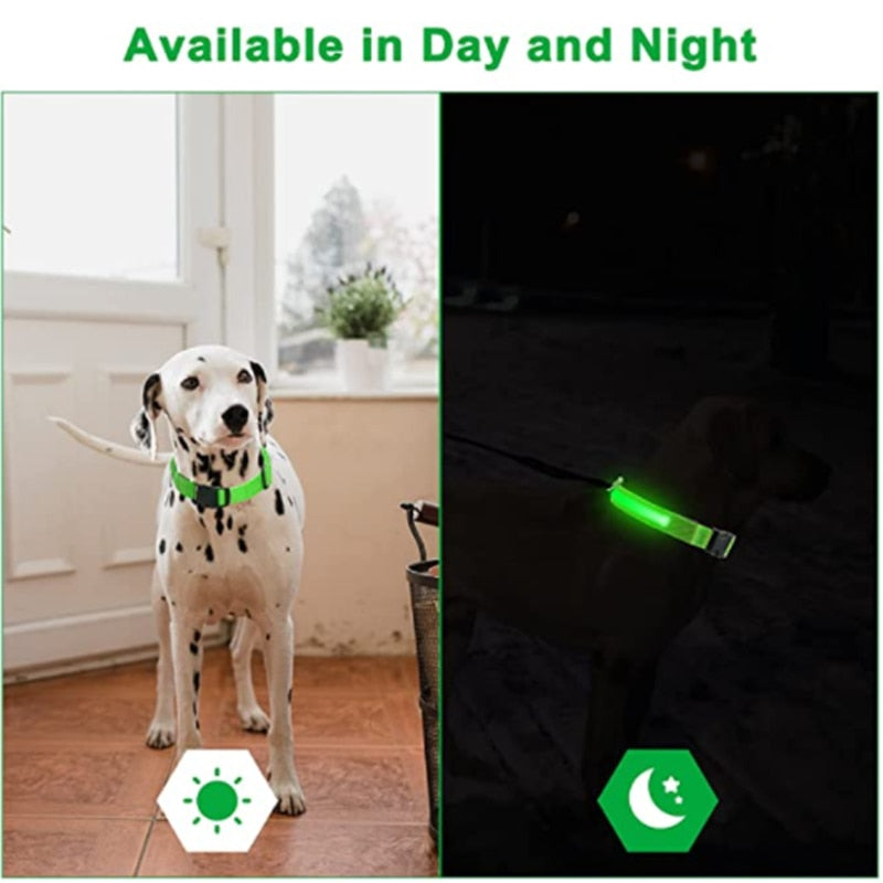 BrightPaws LED Glowing Dog Collar Adjustable