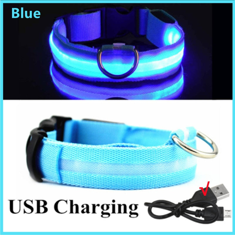 BrightPaws LED Glowing Dog Collar Adjustable