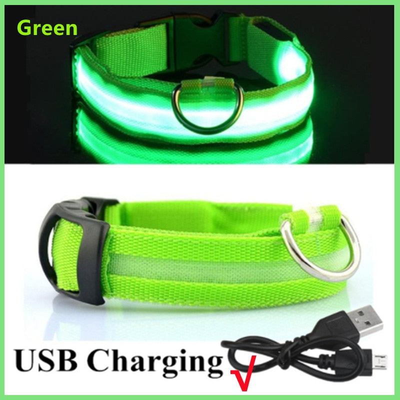 BrightPaws LED Glowing Dog Collar Adjustable