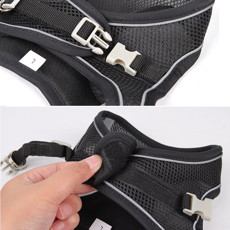 PerfectFit Adjustable Dog Harness