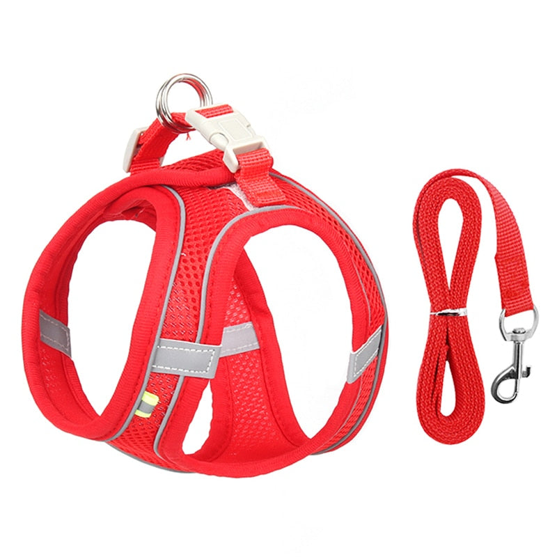 PerfectFit Adjustable Dog Harness