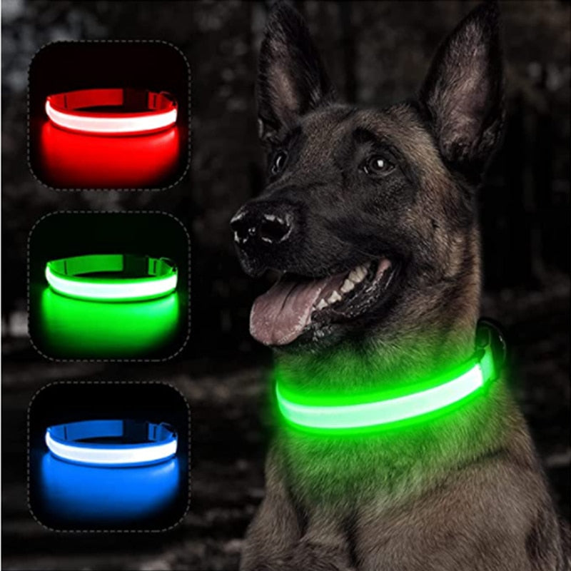 BrightPaws LED Glowing Dog Collar Adjustable