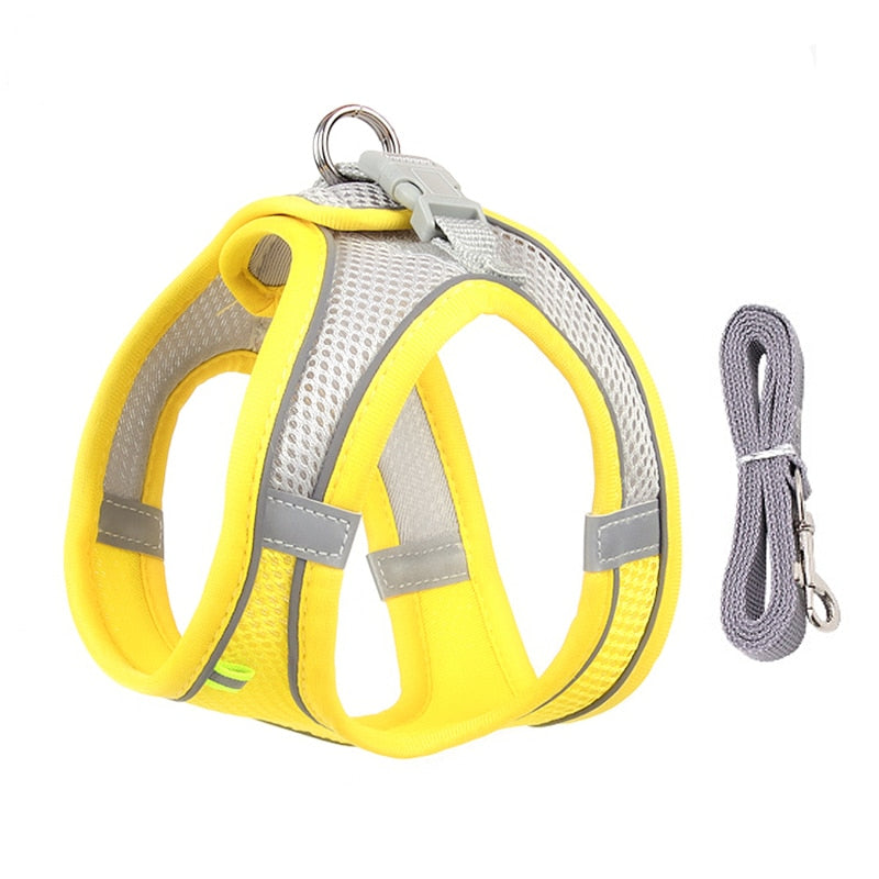 PerfectFit Adjustable Dog Harness