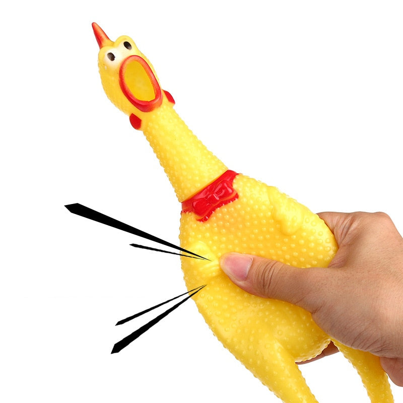 Squawkie Talkie Screaming Chicken Chew Toy