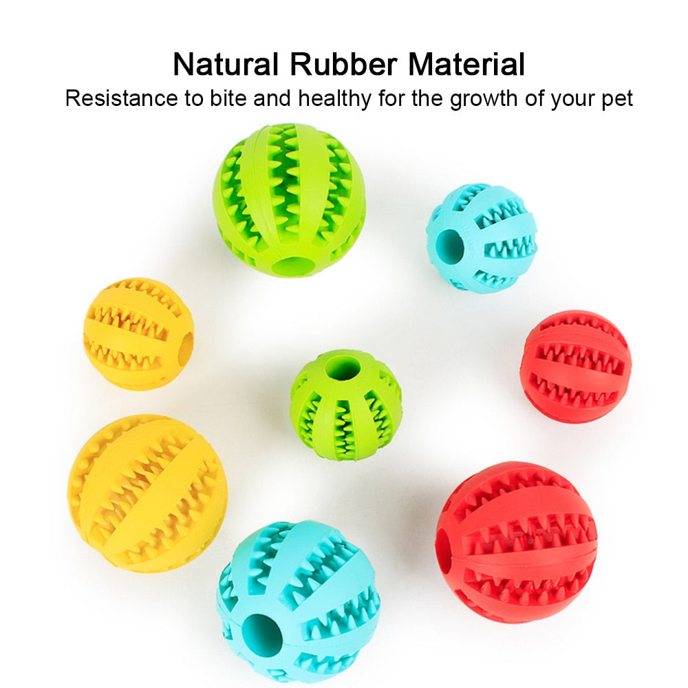 TreatPup Dog Food Ball