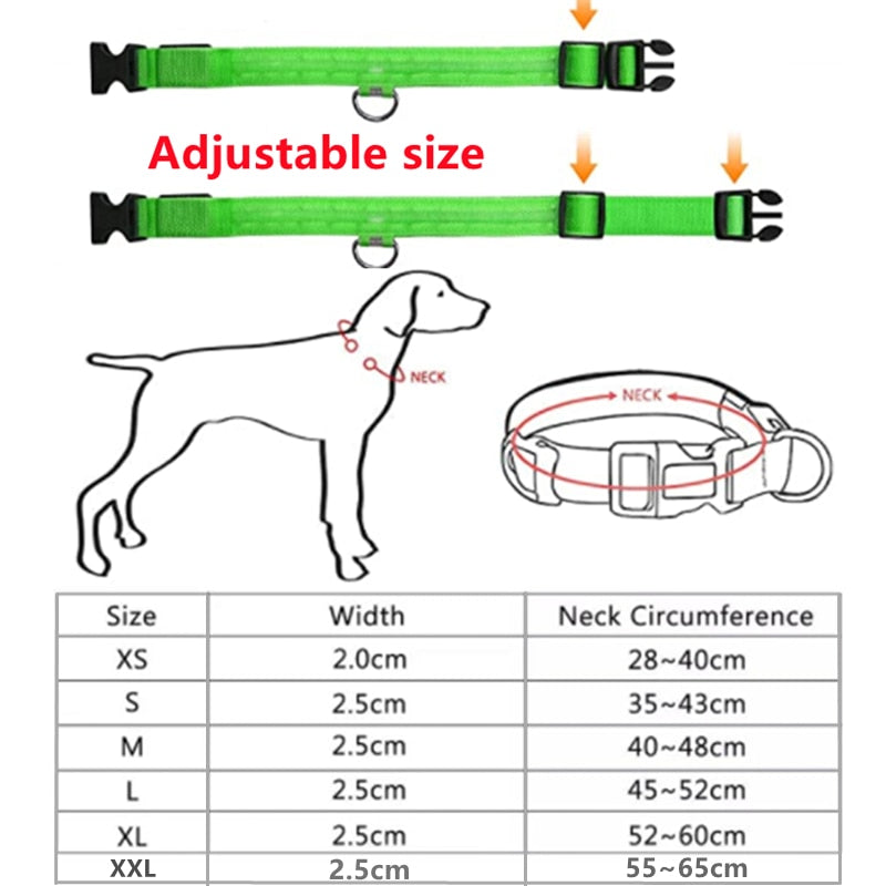 BrightPaws LED Glowing Dog Collar Adjustable