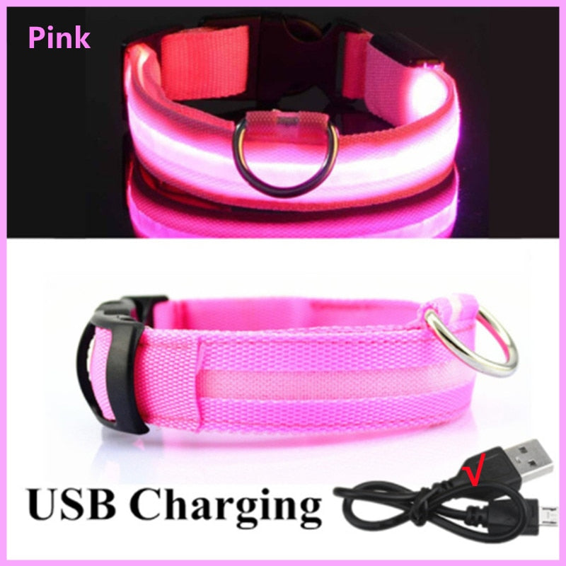 BrightPaws LED Glowing Dog Collar Adjustable