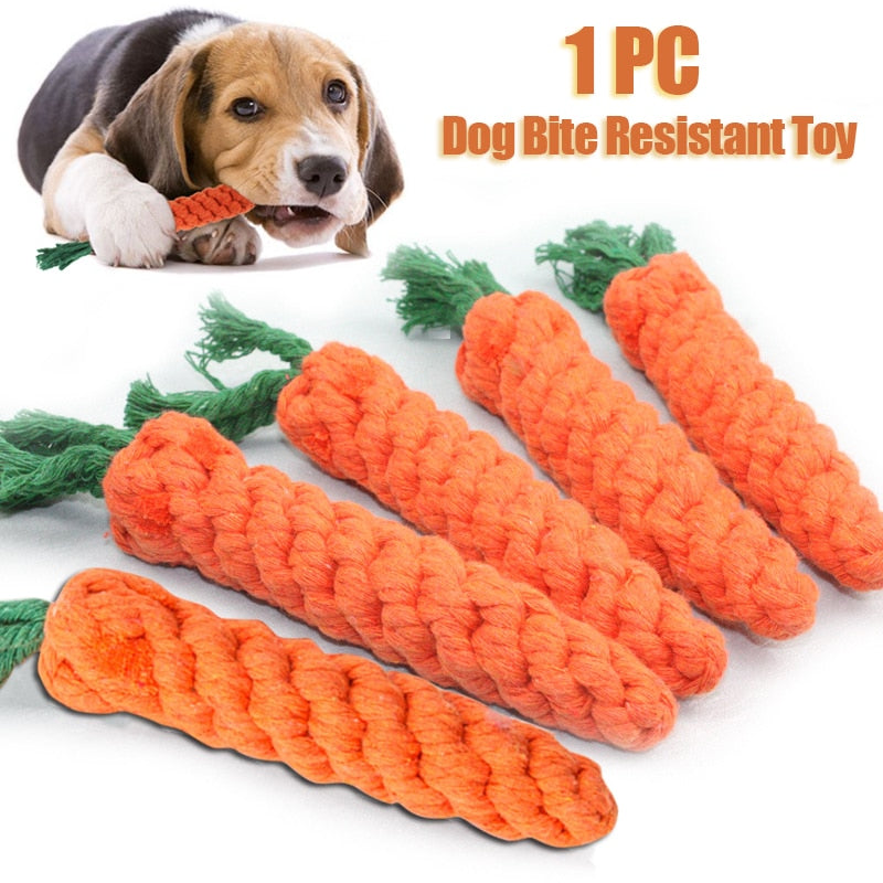 Carrot Chew Toy