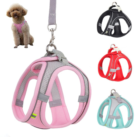 PerfectFit Adjustable Dog Harness