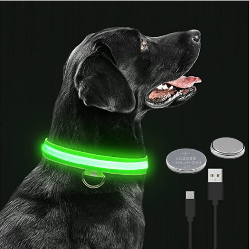 BrightPaws LED Glowing Dog Collar Adjustable