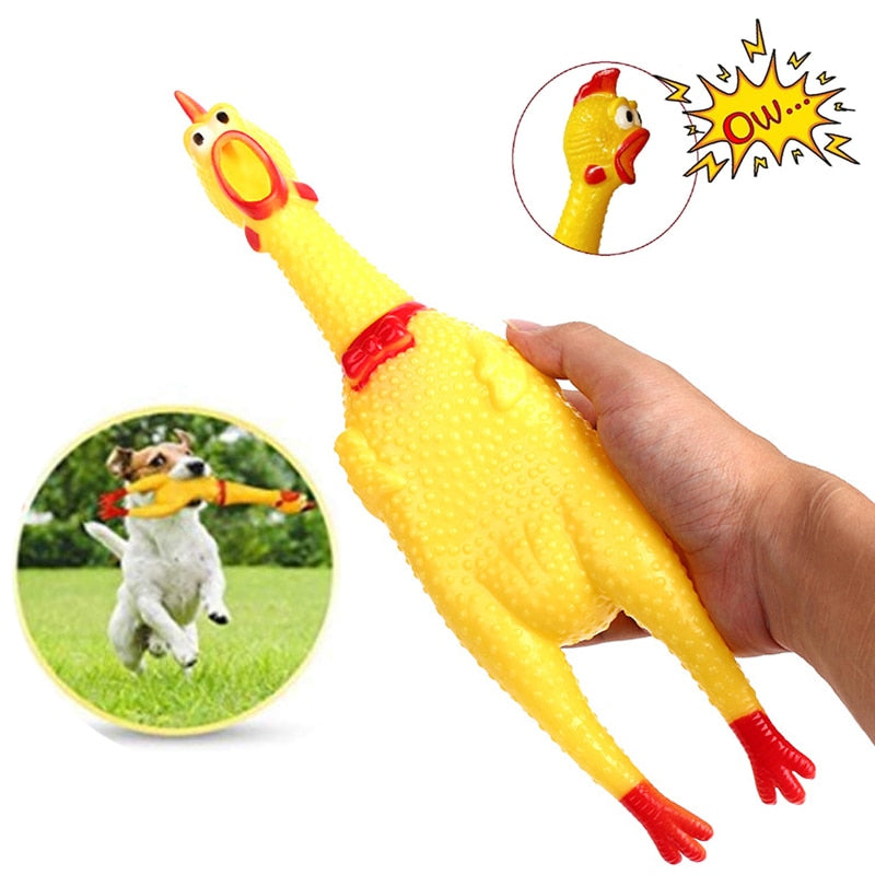 Squawkie Talkie Screaming Chicken Chew Toy